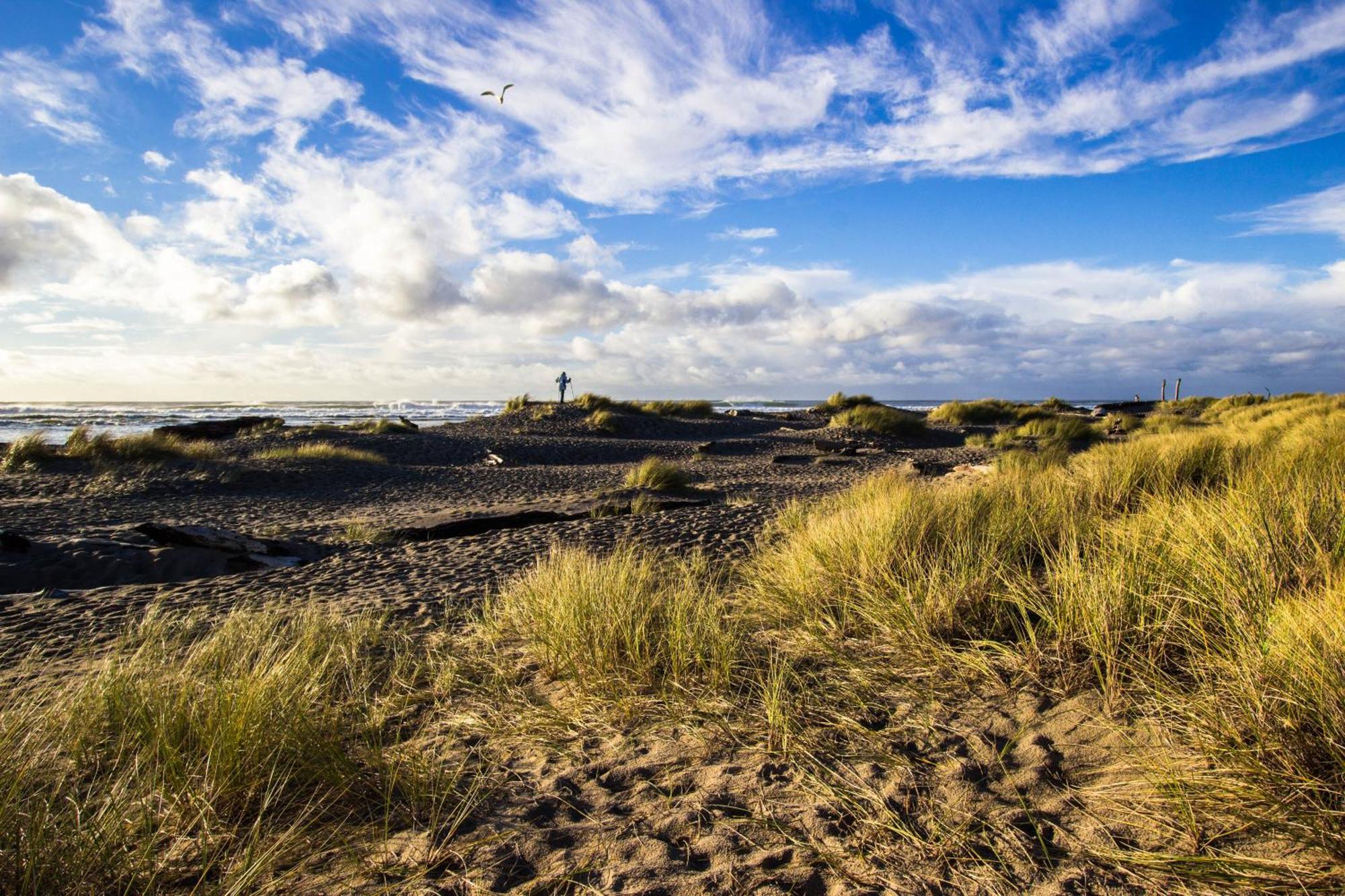 Waters Edge Daire Salishan Beach Oda fotoğraf